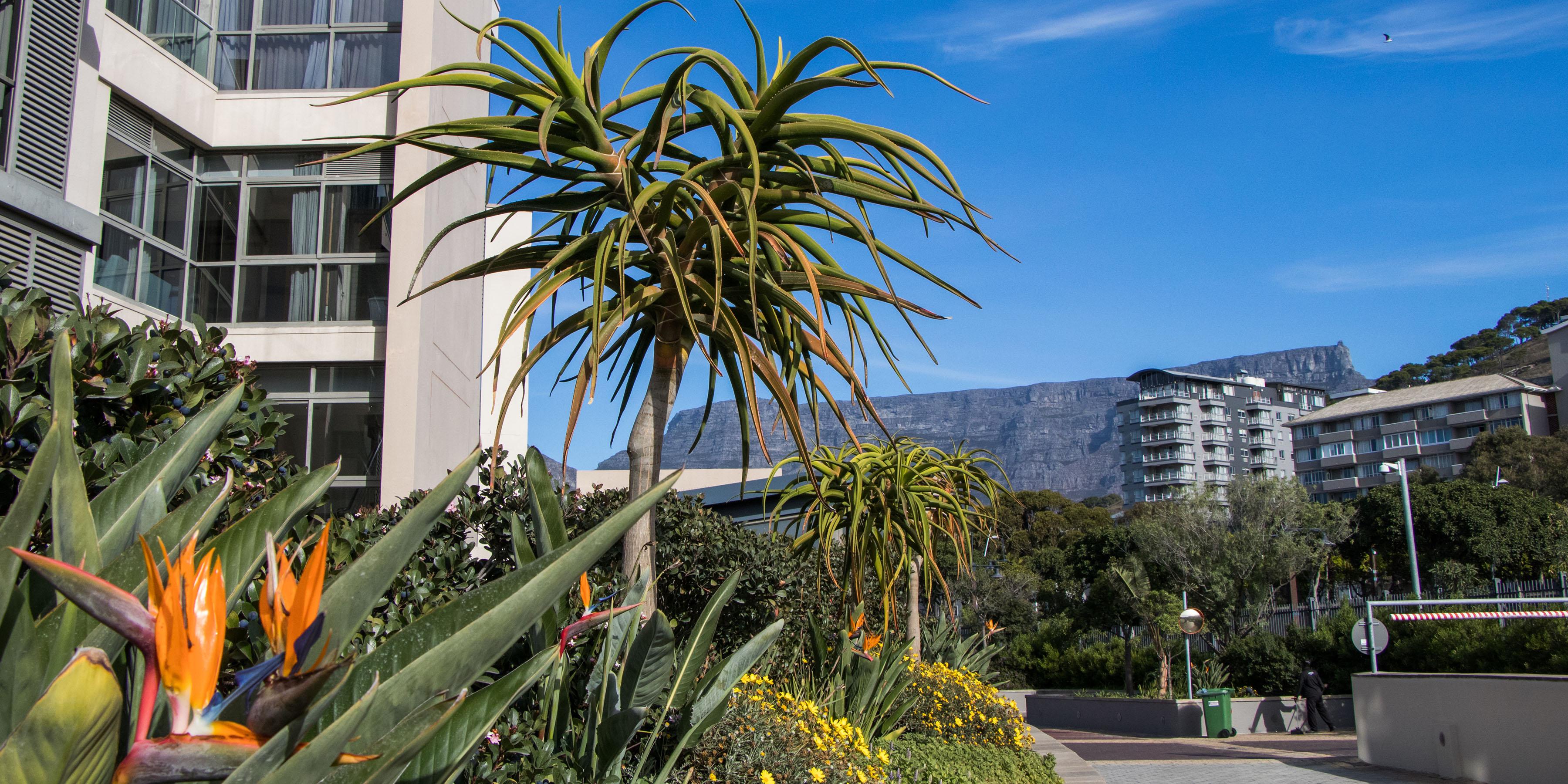 Lawhill Luxury Apartments Cape Town Exterior photo